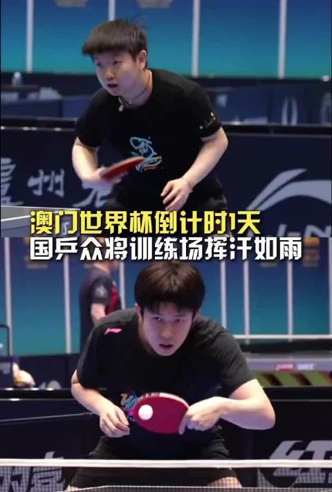 澳门世界杯王曼昱张本美和半决赛巅峰对决引期